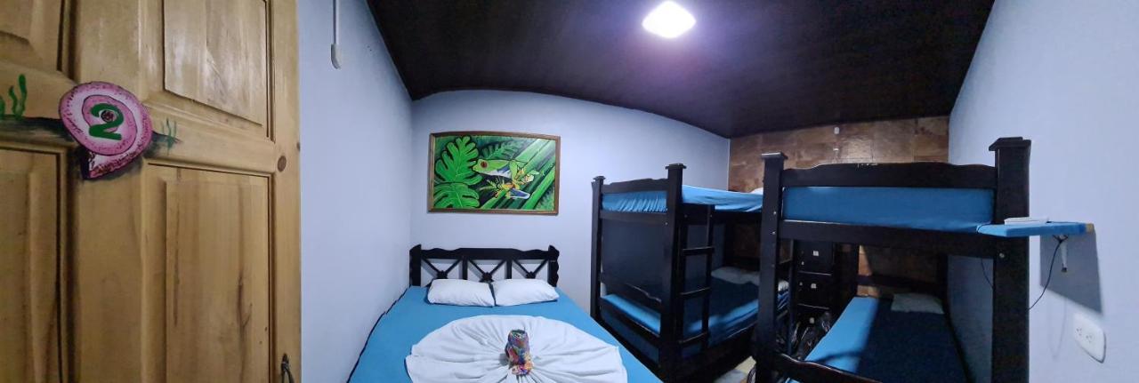 Hostel Tortuguero 7Backpackers Екстериор снимка
