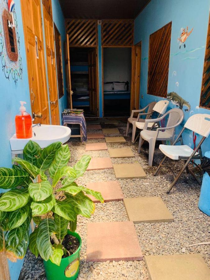 Hostel Tortuguero 7Backpackers Екстериор снимка