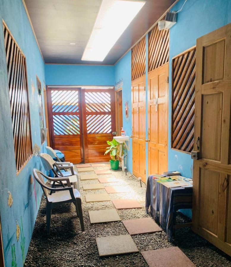 Hostel Tortuguero 7Backpackers Екстериор снимка