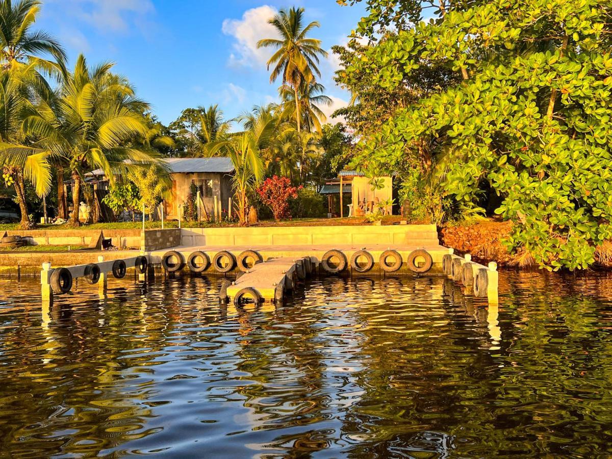 Hostel Tortuguero 7Backpackers Екстериор снимка
