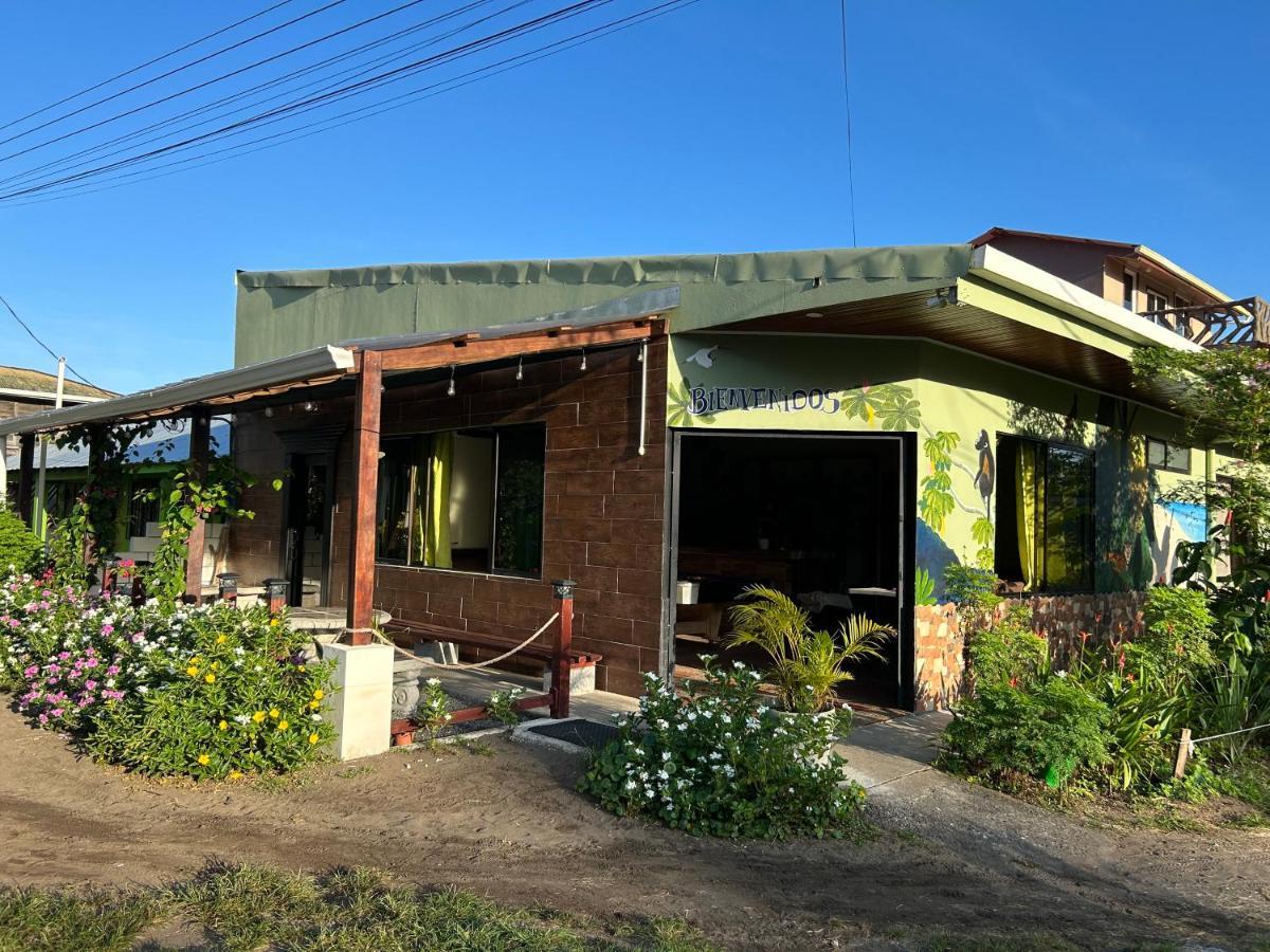 Hostel Tortuguero 7Backpackers Екстериор снимка
