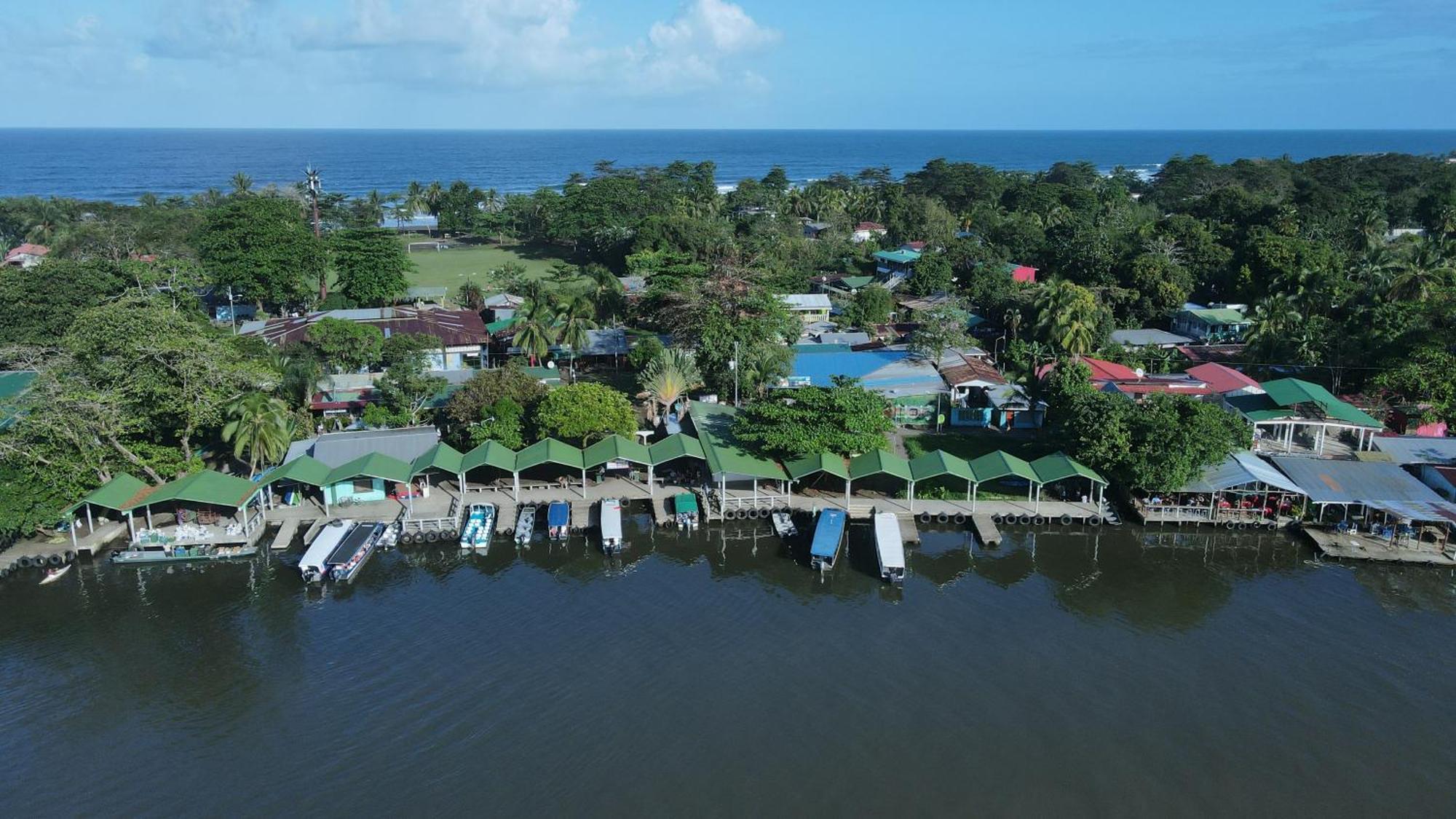 Hostel Tortuguero 7Backpackers Екстериор снимка