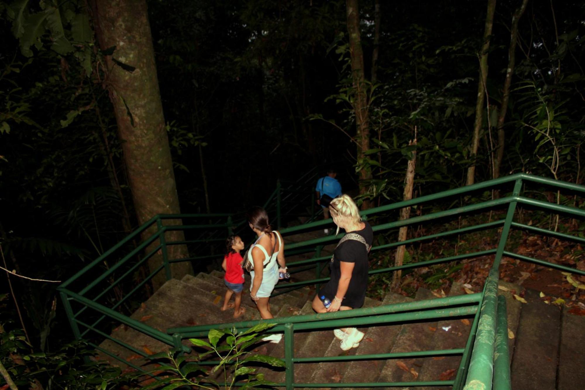 Hostel Tortuguero 7Backpackers Екстериор снимка